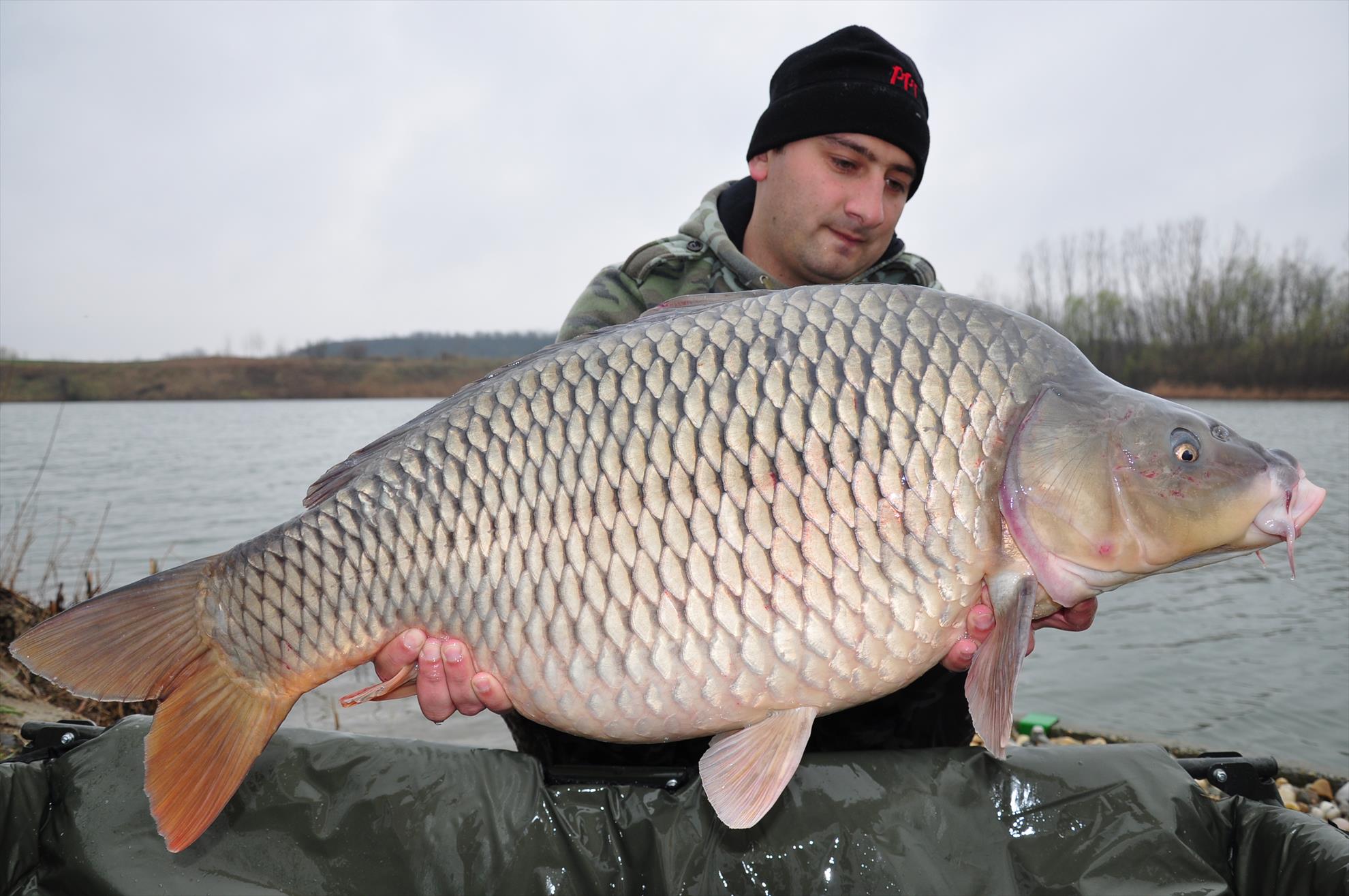 Varlaam 26 - 29 martie 2015 - att14276351211631006.JPG